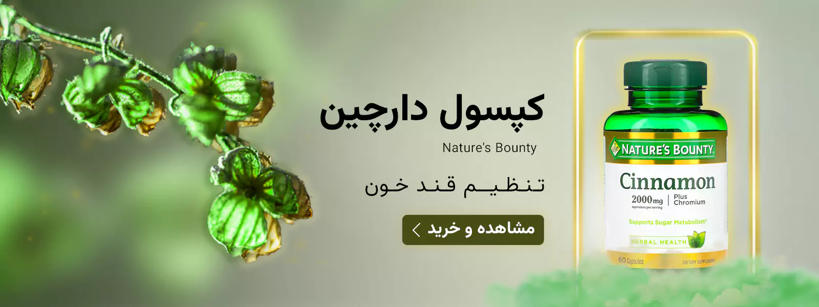 دارچین
