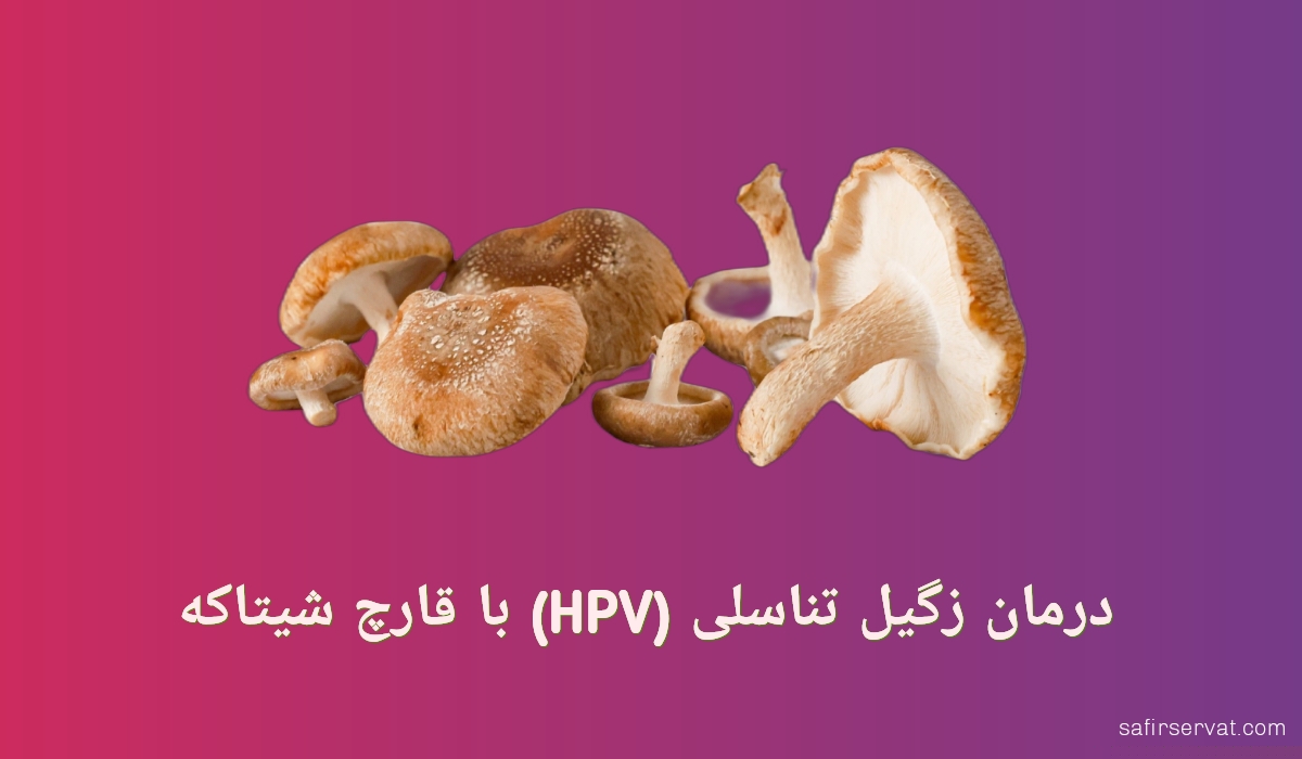 درمان زگیل تناسلی (HPV) با قارچ شیتاکه