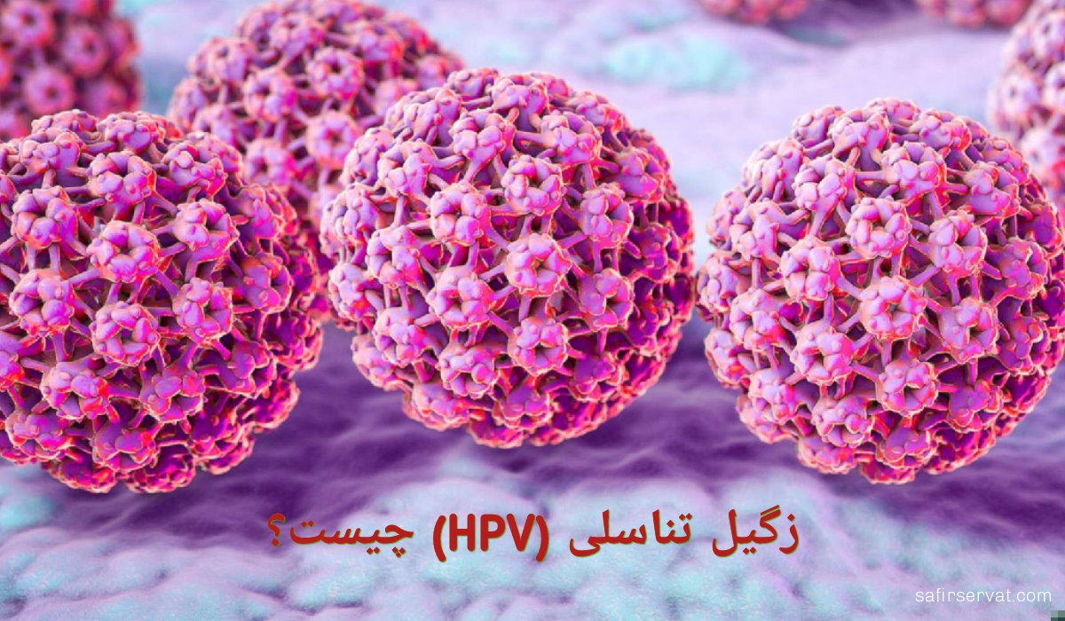 ویروس پاپیلومای انسانی یا زگیل تناسلی (HPV) چیست؟
