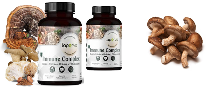 مکمل ماشروم کمپلکس لاپروا Laperva Mushroom Immune Complex