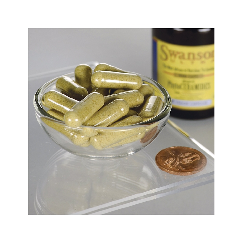 سوانسون فایتوسرامیدها swanson phytoceramides