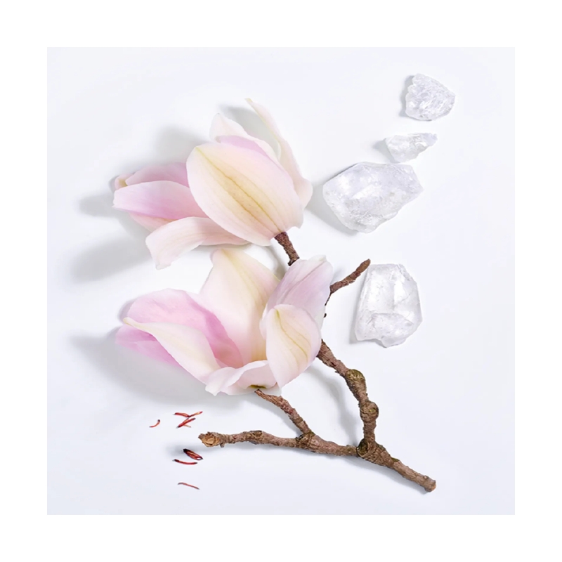 عطر مگنولیا روسی lancom mangolia rosae