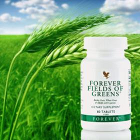 فوراور فیلدز آو گرینز (مکمل سبزیجات) | Forever Fields of Greens